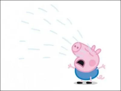 Comment s'appelle le petit frère de Peppa ?