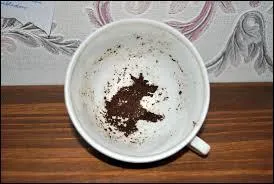 Que croit voir Harry Potter avant que le Magicobus n'apparaisse ?