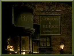 Où Harry arrive-t-il en utilisant de la poudre de cheminette ?