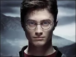Qui interprête le personnage de Harry Potter ?