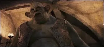 Qui a fait entrer un troll dans le château ?