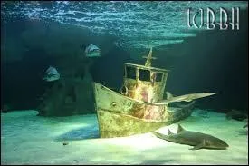 L'Océarium du Croisic expose plus de 10 000 animaux.