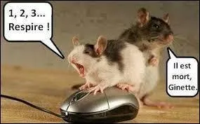 Qui a dit : "Le savant est l'homme par lequel s'op&egrave;re facilement la distinction entre la franchise et le mensonge dans les paroles, entre la v&eacute;rit&eacute; et l'erreur dans les convictions entre la beaut&eacute; et la laideur dans les actes." ?