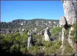 Dans quel d&eacute;partement le cirque de Mour&egrave;ze est-il situ&eacute; ?