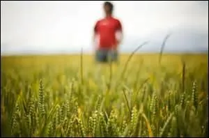 Qu'a-t-il manqué pour avoir une photo de belle qualité ?