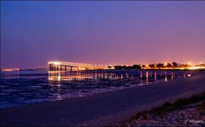 En quelle ann&eacute;e, ce pont a-t-il &eacute;t&eacute; inaugur&eacute; ?