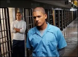 Comment s'appelle l'acteur qui joue le rôle de Michael Scofield dans la série "Prison Break" ?