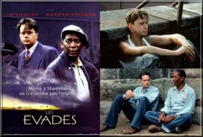 En quelle année est sorti le film "Les Évadés" ?