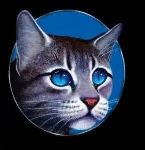 Quel était le premier lieutenant d'Étoile de Feu ?