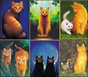 La première fois qu'Étoile de Feu change de lieutenant, c'était :