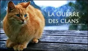 Quelle guerrière du Clan des Étoiles aide Étoile de Feu ?