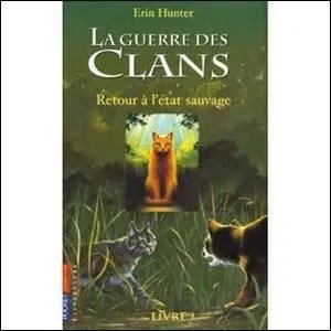 Quelle est la sur d'Étoile de Feu ?