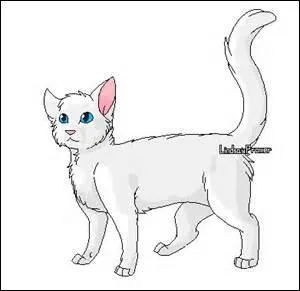 Quel est le rapport entre la sur d'Étoile de Feu et Flocon de Neige ?