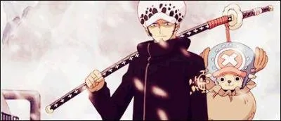 Deux ans plus tard, Law échange les corps de certains membres de l'équipage. Qui se retrouve dans le corps de Chopper et dans quel corps se retrouve-t-il ?