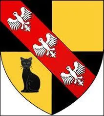 Voici le blason de Saint-Rémy-aux-Bois. Village lorrain, dans le Lunévillois, il se situe dans le département ...