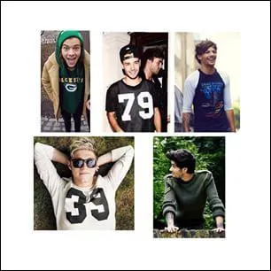 De quelle origine est Zayn ?