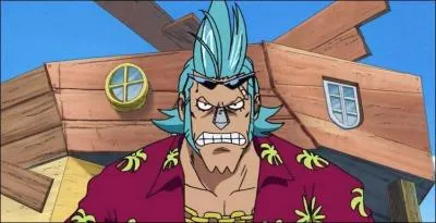 Contre qui se bat-il à Enies Lobby ?