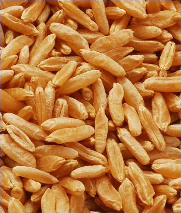 Dit-on : 1) « Au marché au grain de Grais, j'ai acheté de gré à gré » ou bien 2) « Au marché à gré de Grais, j'ai acheté du grain à gré » ?