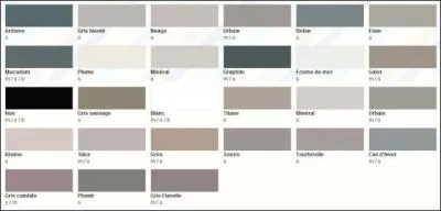 Quoi qu'il en soit, il y a une nuance que vous ne retrouverez jamais dans un nuancier : laquelle ?