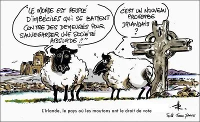 Comment dit-on 'vie' en irlandais ?