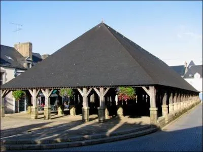 La ville de Questembert où vous découvrirez de pittoresques halles du XVIème se trouve dans le département :