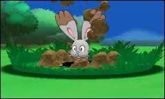 La capacité « Tunnel » est une CT ou une CS ?