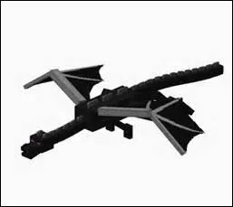 Qu'est-il impossible de voir ?