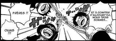 Que font Ace, Luffy et Sabo sur l'image ?