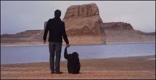 Qui interprète "Je descends du singe" dans les années 2010 ?