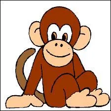 Comment traduit-on le mot "singe" en anglais ?