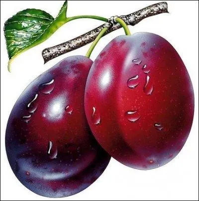 J'ai dépassé le temps autorisé, j'arrête là, sinon je vais prendre une prune. Que va-t-il m'arriver ?