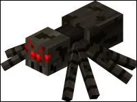 Que peut-elle faire avec sa toile ?