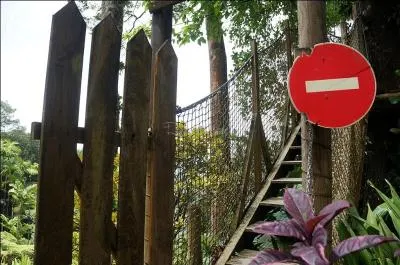 Comment s'appelle l'activité que l'on peut pratiquer dans les arbres du jardin de Balata ?