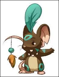 À quoi sert un chaman en salon normal ?