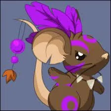 Qu'y a-t-il de spécial en "chaman divin" ?