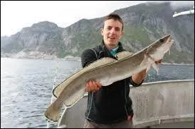 Comment ce poisson se nomme-t-il ?