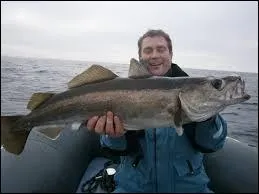 Il peut vivre jusqu'à une trentaine d'année. C'est la (le)...