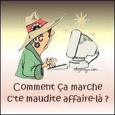 Qui est l'auteur de cette phrase : La communication, comme la guerre, est un art simple, et tout d'exécution. ?