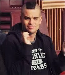 Quelle est la couleur de cheveux de Noah Puckerman ?