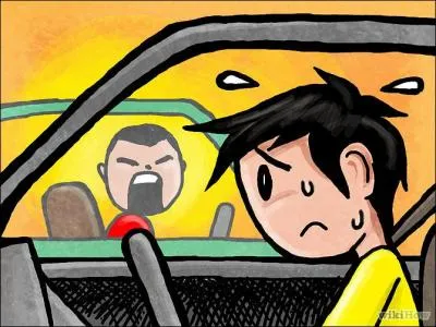 Et on va finir par ma phobie ou ma peur ( c'est comme vous voulez), c'est une phobie qui surprend beaucoup de gens, mais c'est la phobie ou la peur de conduire.