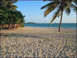 Qui est l'auteur de cette phrase : Nous ne sommes que des grains de sable mais nous sommes ensemble. Nous sommes comme les grains de sable sur la plage, mais sans les grains de sable la plage n'existerait pas. ?