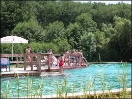 Qui a dit cela : En Grèce, on a envie de se baigner dans le ciel. ?