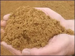 Qui a dit : Il m'est égal de lire que les sables des plages sont chauds, je veux que mes pieds nus le sentent. ?