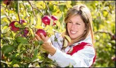 Qui a dit : Le succès est là pour ceux qui n'ont pas peur de le cueillir. ?