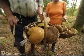 Qui a dit : Les champignons ressemblent aux péchés : pour les déguster, il faut prendre des risques. ?
