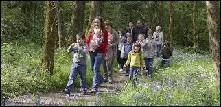 Qui a dit : La promenade est essentiellement une manière de converser avec soi. ?