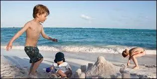 Qui a dit : La plage est une étendue de sable où les enfants font des pâtés et où les mères font des boulettes. ?