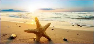 Qui a dit : Je déteste les vacances. Pourquoi rester assis sur la plage si l'on peut employer ses journées à construire des immeubles. ?