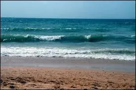 Qui a dit : Les vagues ne naissent pas quand elles déferlent sur la plage. Elles roulent longtemps en mer avant de se casser sur un repli de sable. ?