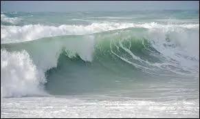 Qui a dit : La tristesse est un pays. Quand on est dans la tristesse, on ne peut être ni à la plage ni à la campagne. ?